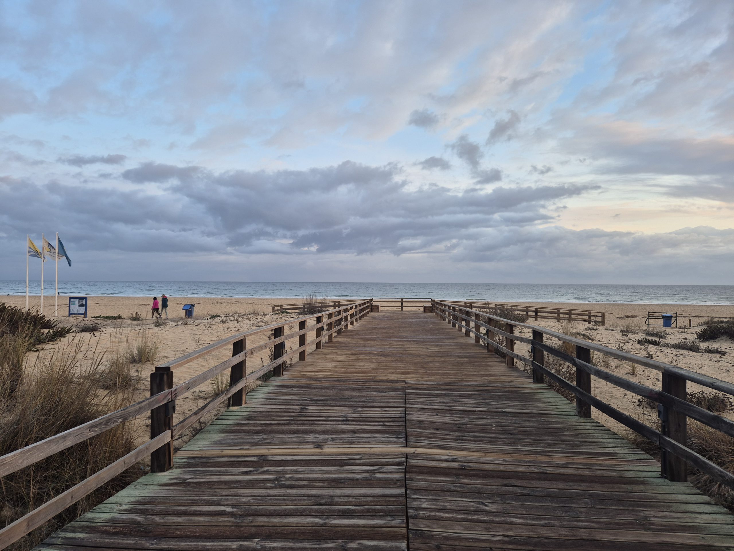 Leiderschapsontwikkeling voor Ondernemers, MT’s & Teams | Organisatiecoach Anneke Roes