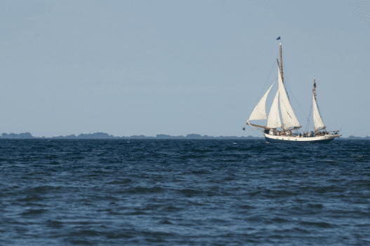 Strategische koers bepalen met RichtKracht - Organisatiecoach Anneke Roes